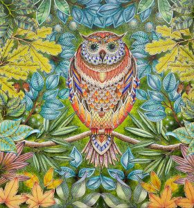 Coloring of Johanna Basford's Secret Garden - Owl by Betty Hung