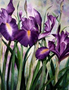 "Irises" - Watercolor by Betty Hung