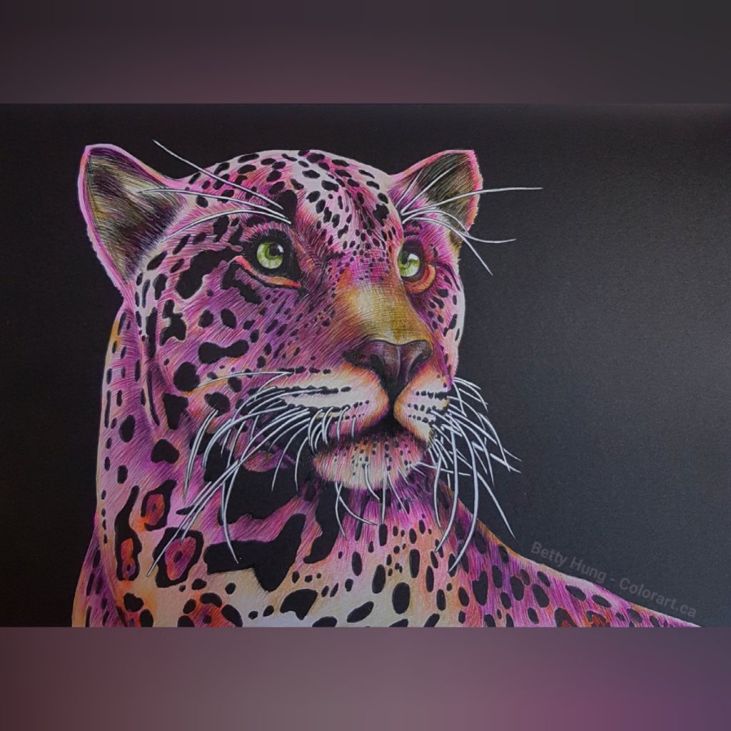 Cougar from Intricate Ink - Animals in detail by Time Jeffs, colored by Betty Hung