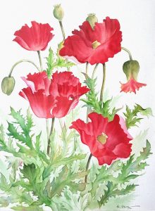 Watercolor painting by Betty Hung titled "Poppies"