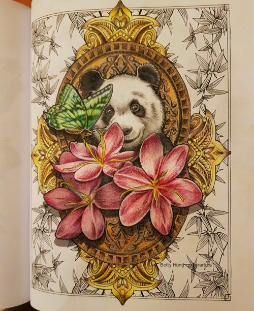 WIP of the Panda portrait 