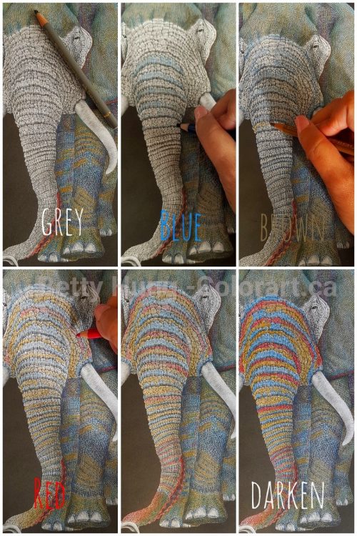 Step by step of how the trunk of the elephant was colored from Intricate Ink - animals in detail by Tim Jeffs