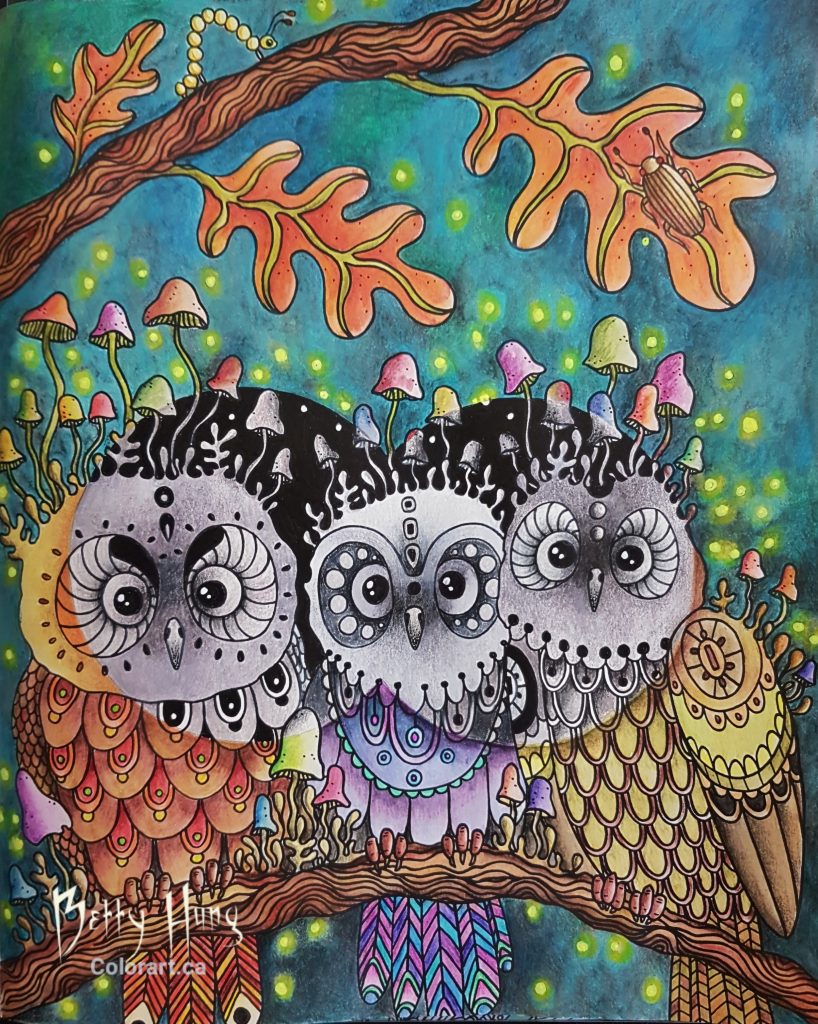 "Baby Owls" from Daydreams by Hanna Karlzon, colored by Betty Hung - colorart.ca